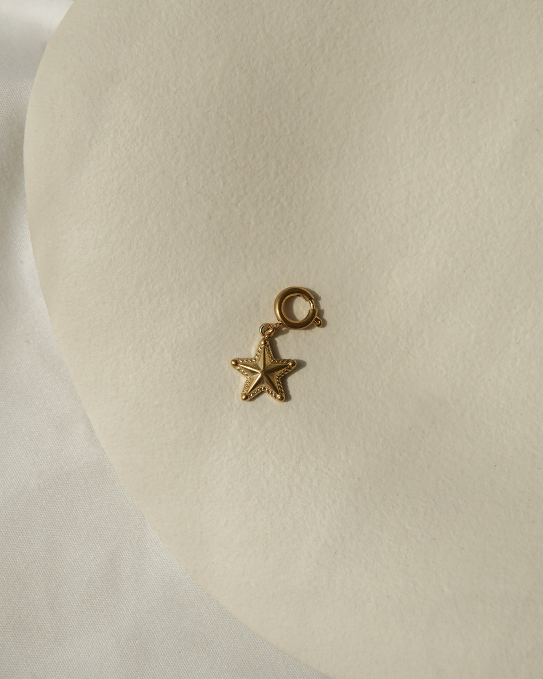 Starfish ☼ Charm